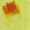 mono25_small.jpg