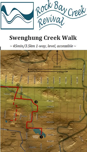 creek walk