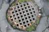 grate_small.jpg