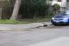 gutteracrossfromgardenstreetcommunitygarden_small.jpg